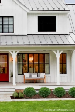 Korean Dwarf Boxwood - Buxus Sinica Var. Insularis 'Nana' - 6 Pack Of 1 Gallon Pots -Bloom Haven Boxwood Korean Dwarf Insularis Nana 4