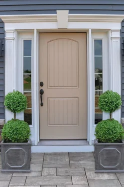 Common Boxwood 2-Ball Poodle Tier Topiary (Buxus Sempervirens) - 3 Gallon Pot (Short) -Bloom Haven boxwood two ball poodle tier 2