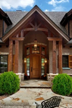 Winterstar Boxwood - 1 Gallon Pot -Bloom Haven buxus winterstar boxwood 3 1