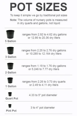 Bloom Haven -Bloom Haven pot size chart 2022 289