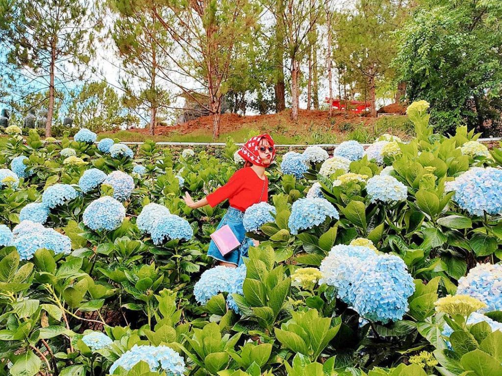 Bloom Haven -Bloom Haven vuon hoa cam tu cau 2 1690127158